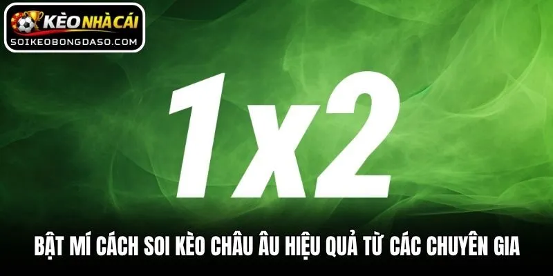 Bật Mí Cách Soi Kèo Châu Âu Hiệu Quả Từ Các Chuyên Gia