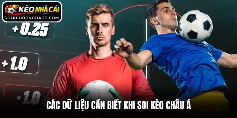 Soi Kèo Châu Á Cực Chuẩn Theo Kinh Nghiệm Cao Thủ 2 Các dữ liệu cần biết khi soi kèo châu Á