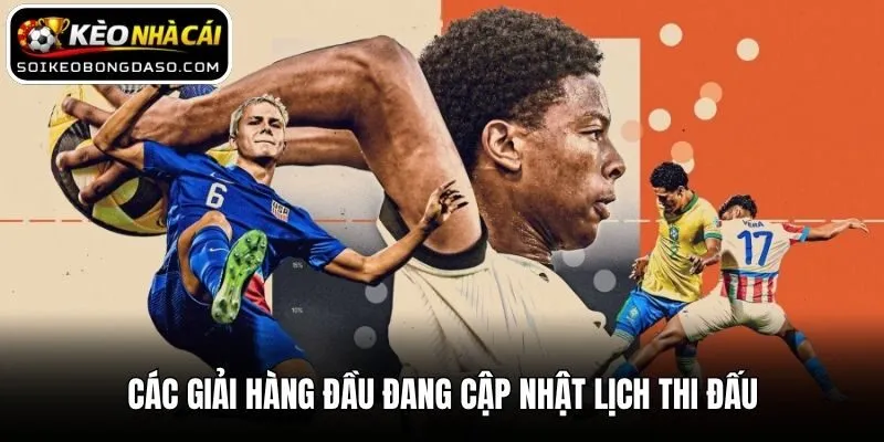 Các giải hàng đầu đang cập nhật lịch thi đấu