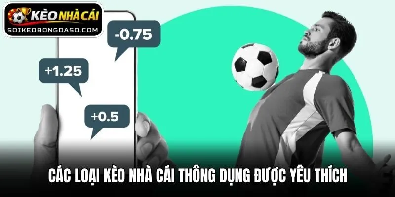Các loại kèo nhà cái thông dụng được yêu thích