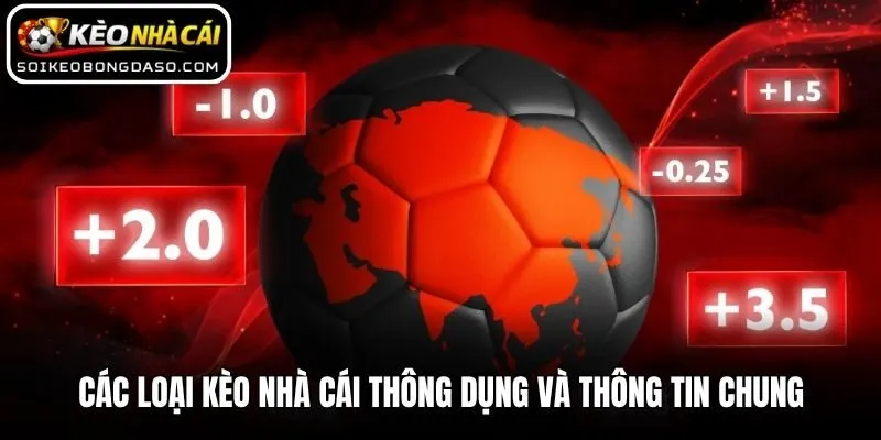 Các loại kèo nhà cái thông dụng và thông tin chung
