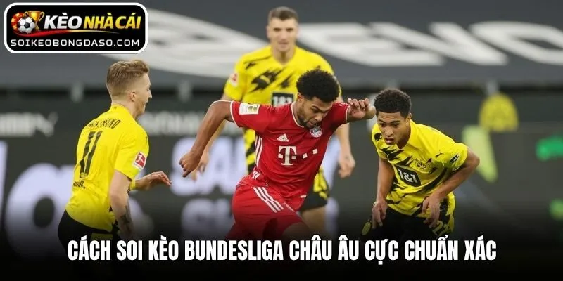 Cách soi kèo Bundesliga châu Âu cực chuẩn xác