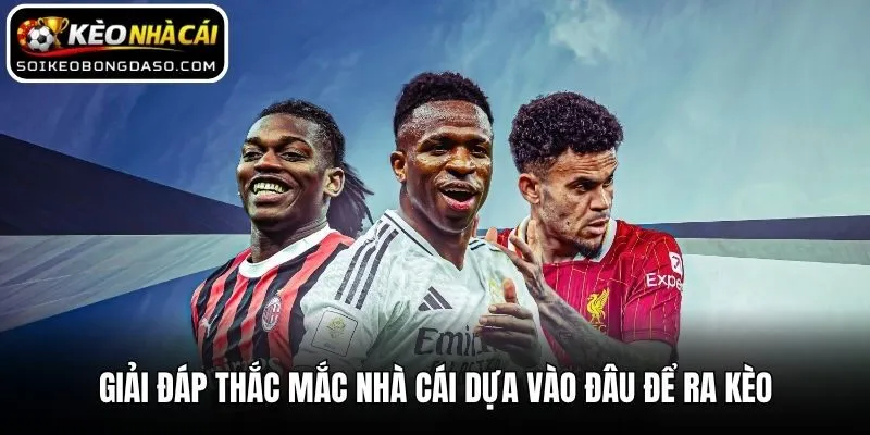 Giải đáp thắc mắc nhà cái dựa vào đâu để ra kèo