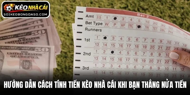 Hướng dẫn cách tính tiền kèo nhà cái khi bạn thắng nửa tiền