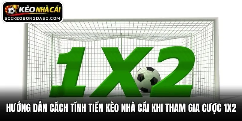 Hướng dẫn cách tính tiền kèo nhà cái khi tham gia cược 1x2