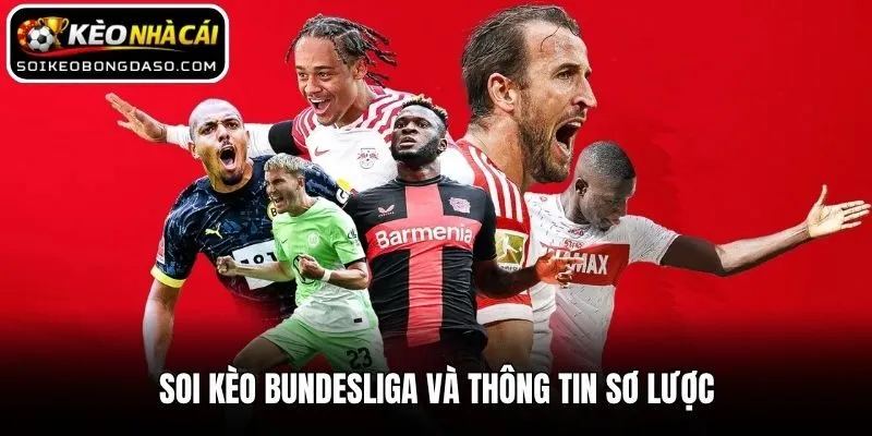 Soi Kèo Bundesliga và thông tin sơ lược