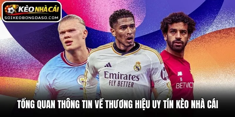 Kèo Nhà Cái | Keonhacai - Nhận Định Kèo Nhà Cái Mới Nhất T8.2026 7 Tổng quan thông tin về thương hiệu uy tín Kèo nhà cái