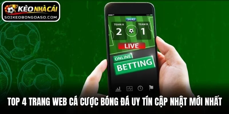 Top 4 Trang Web Cá Cược Bóng Đá Uy Tín Cập Nhật Mới Nhất